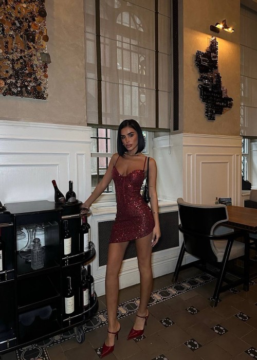 199309 BORDO KLEID
