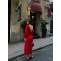 199778 ROT KLEID