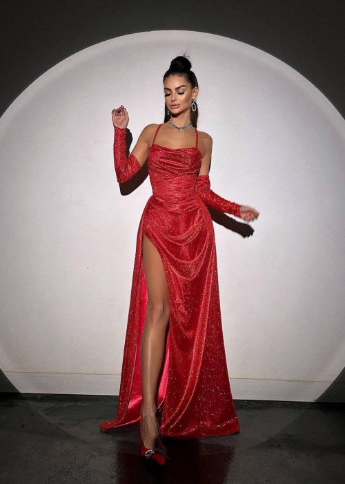202346 ROT KLEID