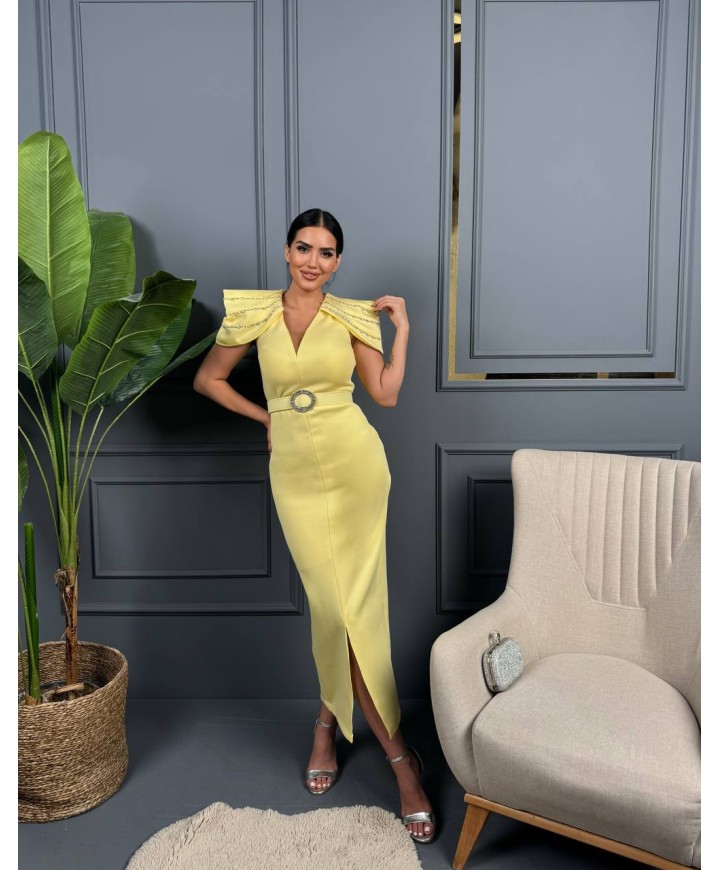 213832 SARI ABİYE