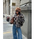 216128 LEOPARD Mont-Caban