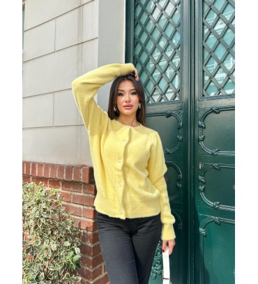 217567 SARI HIRKA TR...