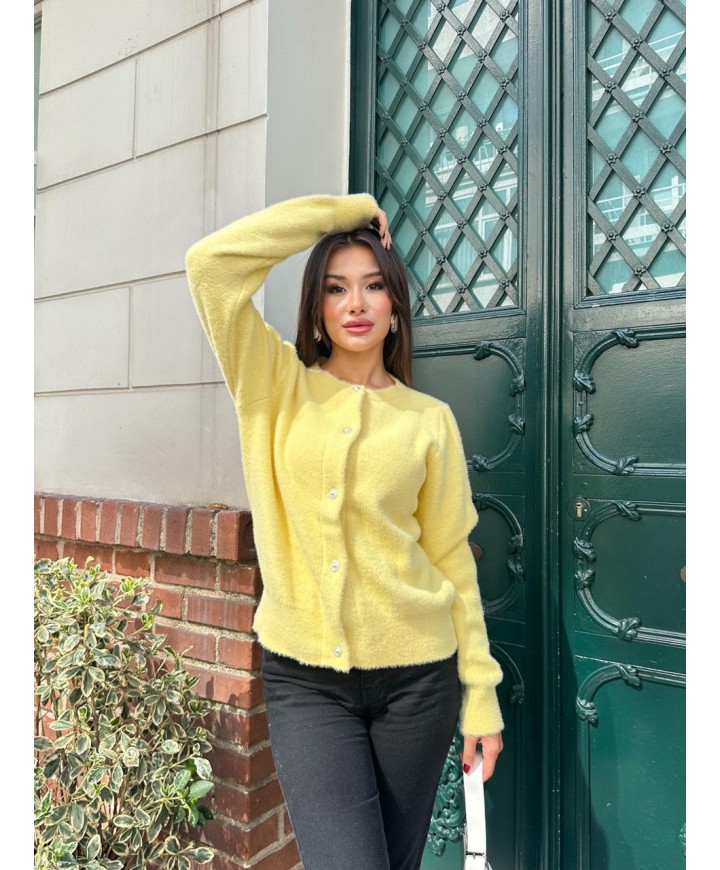 217567 SARI HIRKA TRİKO