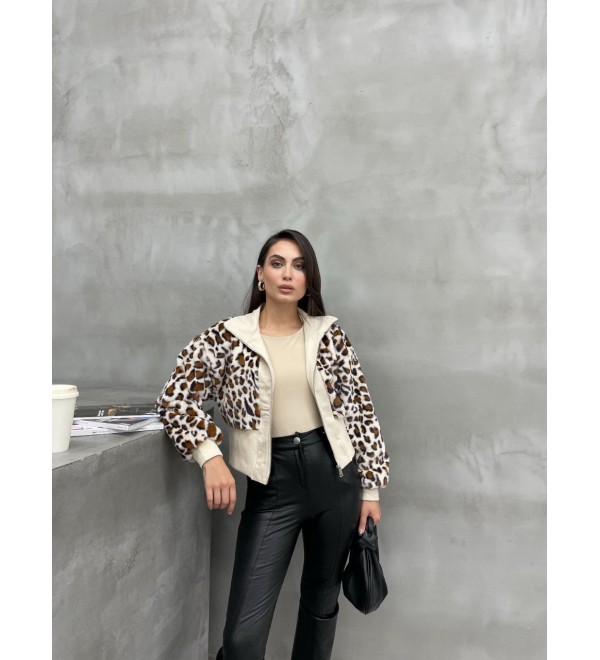 218883 LEOPARD Mont-Caban
