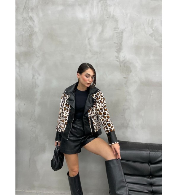 218884 LEOPARD Mont-Caban